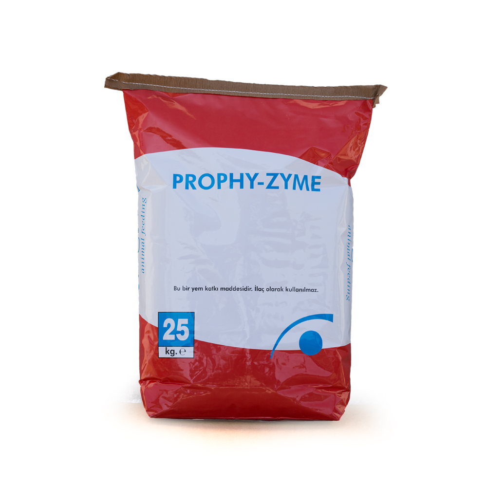 Prophy-Zyme